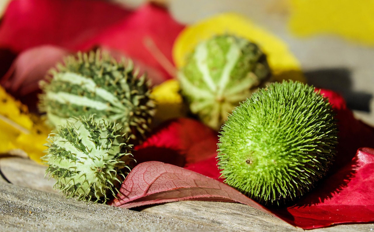 대학원준비방법